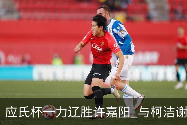 应氏杯一力辽胜许嘉阳 与柯洁谢科许皓鋐进4强